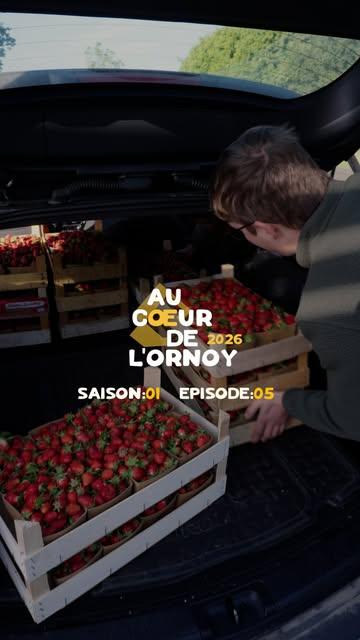 Du champ au cornet 🍓🍦

Derrière chaque boule de glace ou de sorbet à la fraise se cache une belle collaboration locale avec le @domainelafalize ♥️

🎥 @martinchavee.visuals