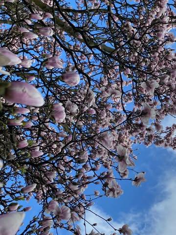 Feeling the spring today and working on something for future consulting work.