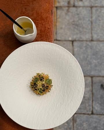 Le tourteau s’accorde à la rhubarbe du Jardin d’Antan et aux notes florales de lilas. Une entrée fraîche et de saison autour du végétal et de l’iode.

Une entrée à retrouver dès à présent dans notre menu du mois de mai ⭐️ 

#michelinstar #gastronomie #durable #gaultetmillau #food #joob