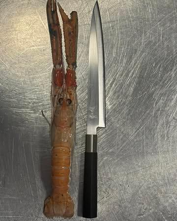 La langoustine, dans son plus bel éclat.

D’un calibre remarquable et d’une fraîcheur irréprochable, notre sélection de langoustines révèle toute la noblesse de ce crustacé d’exception. Sa chair délicate, d’une grande finesse, exprime avec élégance les saveurs pures de l’iode et de la mer.

Travaillée avec précision pour en préserver toute la subtilité, elle s’invite à notre table comme l’un des produits phares de la saison.