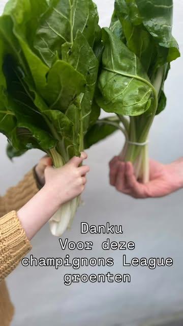 @oogstappel @nooitgewetendatjeditkoneten @groen.lof Thanks