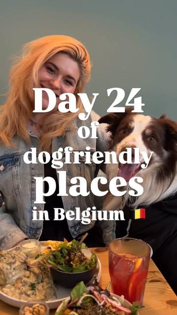 WHERE ARE THE VOL-AU-VEGAN FANS??😍 day 24 of dogfriendly places in Belgium! 🇧🇪🖤 what are we thinking of this place? ☺️
#dogfriendlyplaces #belgianinfluencer #dogfriendly #visitgent #ghentcity #dogfriendlybelgium #belgium