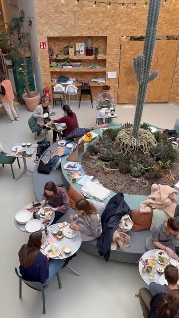 Wat was het fijn afgelopen zaterdag tijdens de pottery painting workshop bij @knolkool.gent ! 😍 Onze hartjes zijn vol en hopelijk waren jullie buikjes dat ook.
KNOL&KOOL zorgde weer voor een heerlijke brunch, perfect om op krachten te komen russen al dat schilderen door. ✨🎨🖌️🫟

Kortom het was een feestje 🥳 Kom jij volgende keer ook mee schilderen? 🫶🏻

Hou onze website in de gaten voor alle komende workshops! Via link in bio of op kleidok.be 🕊️

#pottenbakken #keramiek #workshopsingent #potterypainting #klei #ceramic #ceramics #ceramica #ceramicart #ceramicstudio #clay #clayartist #doknoord #pottery #potterystudio #potterylove #potterylife#metime #wheeltrowing #wheeltrownpottery #handmade #kleiatelier #clayatelier #kleidok