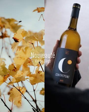 Avis aux amateurs de vin orange : Contrepoint 2023 est là.

Un vin orange qui avance.
Qui assume une oxydation plus marquée.
Qui flirte avec des inspirations jurassiennes, sans jamais les copier.

Épices. Pain grillé. Écorce d’agrumes.
Une bouche ample, tendue par une acidité franche.
De l’amertume, une patine oxydative, une légère astringence.

Un vin qui ne cherche pas à plaire à tout le monde.
Mais qui marque ceux qui l’écoutent vraiment.
Après l’histoire, place au verre. 

Disponible dès maintenant.
👉 lien en bio

#vindeliege #contrepoint2023 #vinorange #vinbelge #vinvivant