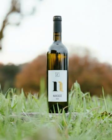 Narcisse.

Un blanc sec, vif et très aromatique issu du Muscaris.

Au nez, des notes de raisin frais et de fleurs blanches.
En bouche, une attaque directe, spontanée, avec une grande fraîcheur.

Un vin lumineux, à ouvrir simplement.

Pssst : en mars, nous mettons Narcisse à l’honneur.
–10 % sur les millésimes 2023 et 2024, en commande et au magasin. 

Commande via le formulaire en ligne.
Lien en bio.