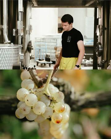 Vin de Liège, ce n’est pas juste une histoire de bouteilles 🍷

C’est un projet né à Liège, porté par des centaines de personnes qui avaient envie de prouver qu’on pouvait produire autrement : faire du vin, oui, mais sans oublier les humains derrière les vignes ni ce qu’on choisit d’en faire collectivement.

Une coopérative où les citoyens peuvent réellement s’impliquer, où le respect de l’environnement compte autant que ce qu’il y a dans le verre, et où l’objectif n’a jamais été de produire plus, mais de produire quelque chose qui a du sens. Des vins auxquels les Liégeois peuvent s’identifier, parce qu’ils racontent autant un terroir qu’une manière de travailler ensemble.

Vous venez nous voir aux portes ouvertes du 12 au 14 juin ? ☀️

Inscriptions via le formulaire dans la bio.
