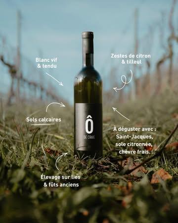 Ça y est ! Les nouvelles cuvées de blancs sont prêtes à sortir des caves pour nos portes ouvertes 🍷 Des vins tendus, frais, parfumés, pensés pour les tablées qui s’éternisent et les verres qu’on ressert “juste une dernière fois ».

Au programme :
• Ô de Craie, vif et minéral.
• Acapella, tout en fraîcheur et en rondeur.
• Les Éolides, souple et ultra accessible.
Trois personnalités, trois façons de découvrir le blanc version Vin de Liège.

Rendez-vous lors de nos portes ouvertes du 12 au 14 juin. 🍷 Dégustations, visites et découverte des nouvelles cuvées au domaine.

Inscription via le formulaire dans la bio.