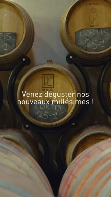 🍇 Plus qu’une poignée de jours avant nos portes ouvertes. 

Au programme : nouvelles cuvées, dégustations, visites du chai, balade dans les vignes et moments à partager entre amis.

📍 Rue Fragnay 64, Heure-le-Romain
👉Inscrivez-vous via le lien en bio.