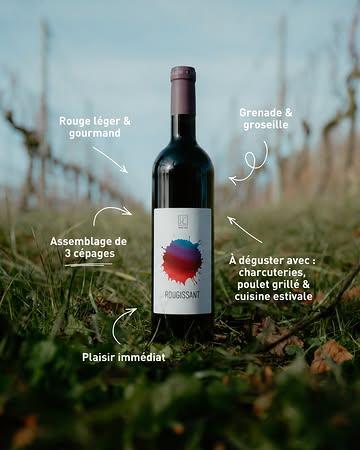 🍷 Trois rouges, trois personnalités, trois façons de savourer l’été.

Fruité et gourmand, souple et équilibré ou plus structuré et épicé : il y a un vin pour chaque table, chaque plat et chaque moment de partage ☀️

Et si vous avez déjà trouvé votre favori, bonne nouvelle : les précommandes de nos vins sont ouvertes ! 🍇

Commandez dès maintenant via le lien en bio.