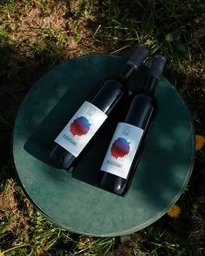 ☀️ Le vin rouge qu'on a envie de mettre au frais.

Léger, gourmand et plein de fraîcheur, Le Rougissant casse les codes du rouge traditionnel. Ses notes de grenade et de groseille en font le compagnon idéal des apéros, salades d'été, grillades et longues soirées en terrasse.

Bref, le rouge qui ne prend pas de vacances 🍷