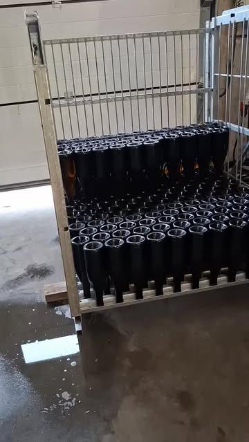 Gisteren degorgeerdag bij Ravenstein! 🍾

Na maanden rijping werden opnieuw heel wat flessen met zorg gedegorgeerd.

Goed nieuws: de voorraad Ravenstein Brut Dorée en Rosé Brut is weer aangevuld.

Klaar om te genieten van een heerlijk glas Belgische bubbels 🥂