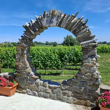 Het is weer weekend, dus tijd om even te vertragen en te genieten op ons wijnterras. 🍷🌿

Je bent van harte welkom op: 
vrijdag van 14 tot 18 uur
zaterdag van 10 tot 12 uur en van 14 tot 18 uur

Combineer je bezoek met een mooie wandeling of fietstocht. Ons wijnterras ligt vlak bij wandelknooppunt 40 en fietsknooppunt 67.

Of trek eropuit met onze eigen Ravenstein Belevingsroute. Onderweg ontdek je niet alleen meer over onze wijnen en wijngaard, maar leer je ook het mooie dorp Kruiseke beter kennen.

Na al dat wandelen en fietsen staat er op ons terras een heerlijk glas wijn voor je klaar. Tot dit weekend! 

👇 Ontdek hieronder de Beleving 👇

https://www.wijndomein-ravenstein.be/nl/beleef-ravenstein/ravenstein-belevingsroute