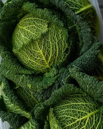 Seasonal vegetables, like our cabbages, come directly from local producers 🥬 Through short supply chains, we ensure full transparency while supporting farming practices that respect biodiversity and nurture living soils.