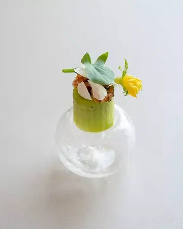 Amuse-bouche: a cucumber gin & tonic infusion, paired with hand-peeled grey shrimp from Normandy, seaweed tartare, and a fresh cucumber blossom ✨