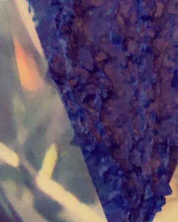 Sheer Egoism #jakupaucebyjohngillis #morepublishers #indacity