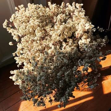 Ce soir au restaurant Gramm
Nous avons le plaisir de recevoir Umetsu San de la brasserie Umetsu (préfecture de Tottori, japon) qui viendra présenter ses Sake dans le cadre d’un Sake-Pairing réalisé par Vivien Blot Titulus Pictus.