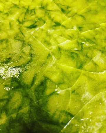 Ce soir chez Gramm : fraîcheur, airco & terrasse.
On cuisine léger, croustillant, froid, grillé, acidulé — exactement ce qu’il faut pour cette météo. 
Menu de ce soir. 
Épinards/Sésame.  
Bintje Russe/Piémont/Japon ?
Beignet Végetal en Tempura 
Soba Froides Bouillon Kombu  Onglet Grillé Mariné au Soy/Sake/Mirin-Fu
Riz Sauté.  Sorbet 
 Salle climatisée. Terrasse ouverte.
Rue de Flandre 86 — Bruxelles
#GrammBrussels #RueDeFlandre #IzakayaBruxelles #BruxellesFood #TerrasseBruxelles