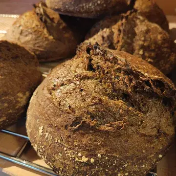 Homemade zuurdesembrood.

Een traag gefermenteerd zuurdesembrood met rogge en mout om de maaltijd te vergezellen. Heerlijk in smaak, gevaarlijk om er per ongeluk te veel van te eten. 
Wij houden ervan om ons brood te scheuren en zien jullie graag hetzelfde doen aan tafel. Draait bij ons niet om de etiquette, maar wel om het extra behouden van de luchtigheid van het brood.

#zuurdesembrood #homemade #restaurant #visitgent #duurzamekeuken