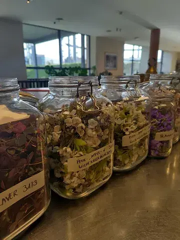 VERLIEFD OP DE LENTE.

Het seizoen waarbij er opnieuw een overvloed aan kruiden is & waarbij de bloesems een heel kort moment bloeien. 

Om deze lentepracht zo lang mogelijk mee te nemen in ons eten, conserveren we een deel. We maken azijn, cheong, olie, gearomatiseerde honing... Dit allemaal met dank aan @mondedesmillecouleurs met hun prachtige kruiden en bloemen.

Wil je de lente komen proeven? Welkom van woensdag- tot en met zaterdagavond in ons restaurant. 

Wil je een deel geconserveerde lente kopen? Welkom op zondag 3 mei op onze zalige zondag met hapjes, drankjes en allerlei lekkers te koop.

#gent #restaurant #lokaal #lente #conserveren