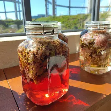 VERLIEFD OP DE LENTE.

Het seizoen waarbij er opnieuw een overvloed aan kruiden is & waarbij de bloesems een heel kort moment bloeien. 

Om deze lentepracht zo lang mogelijk mee te nemen in ons eten, conserveren we een deel. We maken azijn, cheong, olie, gearomatiseerde honing... Dit allemaal met dank aan @mondedesmillecouleurs met hun prachtige kruiden en bloemen.

Wil je de lente komen proeven? Welkom van woensdag- tot en met zaterdagavond in ons restaurant. 

Wil je een deel geconserveerde lente kopen? Welkom op zondag 3 mei op onze zalige zondag met hapjes, drankjes en allerlei lekkers te koop.

#gent #restaurant #lokaal #lente #conserveren