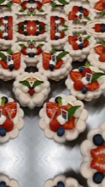 pavlova Wilmot