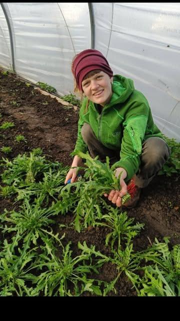 De Ouro-bour.inn.en verzetten veel werk deze week : bedden klaarleggen, zaaien, oogsten...
Het nieuwe seizoen is voelbaar van start gegaan!

We laten jullie graag even meegenieten, ziehier een glimps van de week 🌱

Boerin Maaike en dochter Liselore busselden samen  rucola om te verkopen @devroente en op de markt 🥰

Vele kilo's sprouting broccoli werden geoogst 😋

En de rabarberplantjes gingen terug de volle grond in! 💚

Waar kan je dit en veel meer lekkers bestellen?

👉 Ourobouros-app.be
👉 Nog vragen? Wij beantwoorden ze graag! Stuur een mailtje naar groentemanden@ourobouros.be

En ook elke zondag te vinden op de markt van Saint-Gilles. Bienvenue ! ☀️

#biodynamischeboerderijourobouros
#biodynamischelandbouw
#flexibelegroentemanden
#devroente
