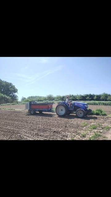 #biodynamischelandbouw
#biodynamischeboerderijourobouros
#devroente
#plantenthusiast
#biologisch