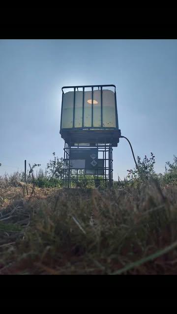 In deze hitte, staan de boeren op scherp! 
Om jullie in augustus-september van pompoenen te kunnen voorzien worden de plantjes nu goed verzorgd.
Ziehier het ingenieuze bouwwerk van de Ouro-boer die zorgt voor water waar dat nodig is 💦
 
#irrigerenkanjeleren
#biodynamischeboerderijourobouros
#boerenbouweningenieus
#watervoorziening