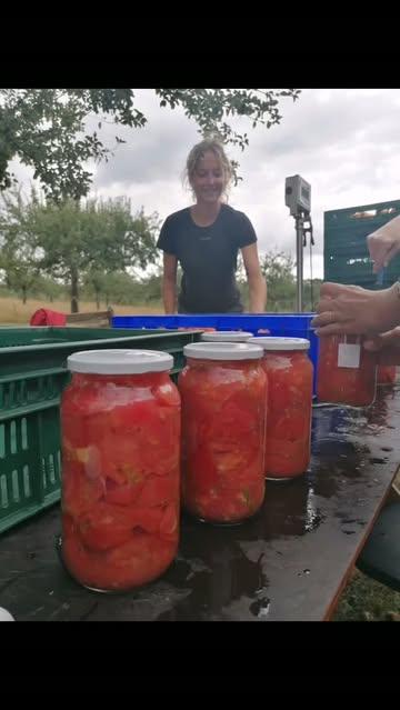 🍅 🍅 🍅 ❤️❤️❤️🍅🍅🍅❤️❤️❤️🍅🍅🍅

Wat doen jullie met al die overheerlijke tomaten?
Ze zijn op hun lekkerst en in overvloed te krijgen @ourobouros_cv
🤩 5kg soeptomaten voor 18euro🤩 
Dus inmaaktijd! 

Chop chop chop
And drop
All your tomatoes in the pot
Add some salt
If you want
Make it full an make it hot
You love it or not?

BESTELLEN
>>Al een klantenaccount? Je kan de promo bijbestellen.
>> Nog geen klantenaccount? Maak er alvast eentje aan op www.ourobouros-app.be 
Vanaf vrijdagavond 18u. : bestellen maar! 
Op = Op

AFHALEN
Op woensdag(na)middag te DIKKELE!!! 

VRAGEN
Groentemand@ourobouros.be 😁 

#5kgtomatenaanhalveprijs
#bijourobourosmoetjezijn
#maakzein
#enjehebthetnogeenjaarlangnaarjouwzin