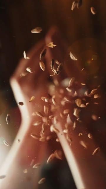 S25|26 E01

Hebt ge u al afgevraagd wat het allemaal vraagt om een 3 Fonteinenlambik te brouwen of een geuze te steken? In onze nieuwe serie nemen we u mee achter de schermen en tonen we u wat 3 Fonteinen natuurlijk anders maakt. Deze episode begint dan ook bij het aller begin: de basis van het brouwen; de granen.

Have you ever wondered what it takes to brew a 3 Fonteinen lambic or blend a gueuze? Our new series takes you behind the scenes and shows you what makes 3 Fonteinen different by nature. This first episode starts at the very beginning: the foundation of brewing; the grains.

#3fonteinen #lambic #geuze #gueuze #lambik