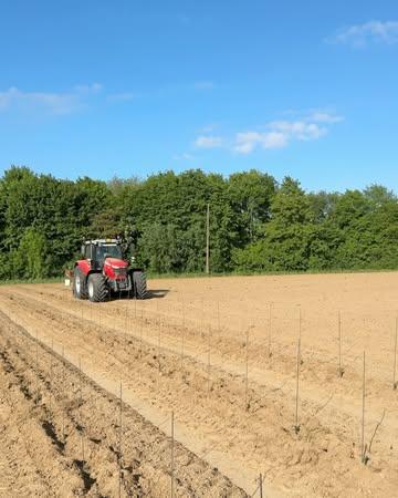 Uitbreiding in de maak bij Wijndomein Voosbeke: gisteren plantten we een extra hectare aan met chardonnay en pinot blanc. Onze jongste generatie inspecteert alvast de aanplant van de toekomst. 🍇🍇🍇

#WijndomeinVoosbeke #wijngaardleven #chardonnay #pinotblanc #wijnbouw #familiebedrijf #nieuweaanplant #viticulture #vineyardlife #winelovers #sustainablefarming #futureofwine #familywinery #grapevines #harvestdreams