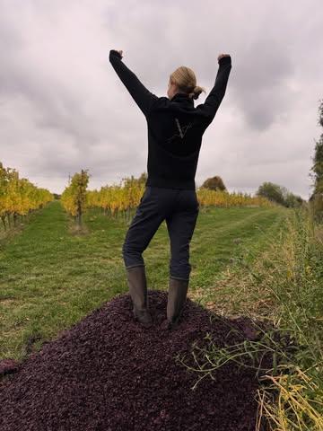 Dit was het dan: de laatste pers van 2025 🍇
Moe, maar voldaan. Terwijl de wijngaard langzaam in herfstmodus gaat, keert ook bij ons wat rust terug.
Een grote dank aan alle helpende handen die deze oogst mogelijk maakten ❤️
De persresten onder mijn voeten? Die keren gewoon terug naar de wijngaard, geven en nemen 🌿🐝