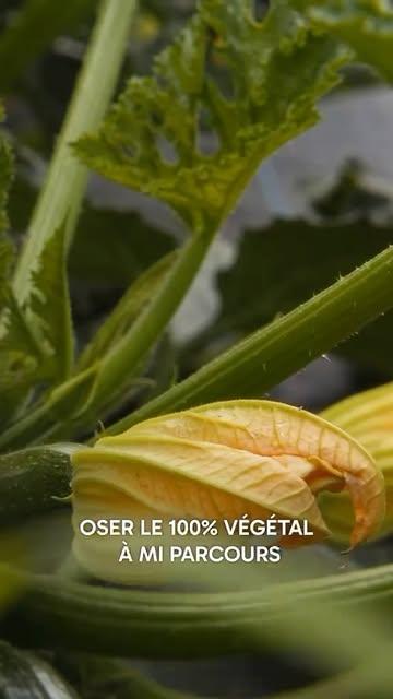 Merci 🙏🏻

De nous avoir fait confiance pour vos dîners 
De vous intéresser aux prochaines années 

On entame la dernière ligne droite avant fermeture du restaurant fin juillet (on a prolongé le plaisir ) 

On restera ouverts pour vos événements d’entreprise, des conférences ciblées et certains 4 mains bien choisis ;)

Mais vous pouvez déjà suivre nos actualités et les prochains projets via notre newsletter Substack (en bio) 

Restez connectés l’histoire ne fait que commencer 🤫

🎥 @mehdyn @schrodingerstudio