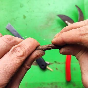 Het voelt een beetje als voor God spelen: een takje afknippen van een boom met lekkere appels en op het wortelgestel van een andere boom plakken. Twee weken geleden volgde boer Lieven een workshop om de eeuwenoude kunst van het enten onder de knie te krijgen. Met een scherp mes in de hand ging hij deze week een eerste keer aan de slag om zeventig appel- en perenboompjes te enten. Allemaal speciale rassen die hopelijk zullen kunnen toegevoegd worden aan onze diverse fruitaanplant. Over enkele maanden weten we of het gelukt is. Spannend! 🌳

#enten #biofruit #godspelen #oplettenvoordevingers #spannend