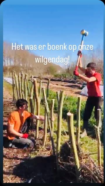Nieuwe takkenwal op het Polderveld!
👍 Een mooie omheining 🪵 
👌Beschermmuur voor de groenten tegen hazen.🐰⛔️
👊 Favoriete plekje voor allerlei insecten en vogeltjes op ons veld. 🐞🦋🪲
💨 Beschermmuur tegen felle wind!
#takkenwal #wilgen #biotoop #biodiversiteit #levedenatuur