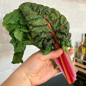 Warmoes ofwel snijbiet; een vergeten groente om te onthouden!! 😃

Supermakkelijk om klaar te maken en goed vergelijkbaar met spinazie. Zelfs de mooi gekleurde steeltjes zijn ook superlekker en bruikbaar. 🩷

Je kan deze bladgroente koken, stoven, stomen, roerbakken en kan het in heel wat verschillende soorten gerechten gebruiken! 🍲

Niet alleen is dit lekker, het bevat ook nog eens heel wat ijzer en vitamine c. Te koop via onze webshop en biologisch geteeld met respect voor de natuur door @het_polderveld . 🙌🏻

#warmoes #snijbiet #hetpolderveld #biologischegroenten #kooplokaal