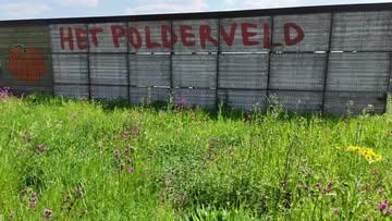 @het_polderveld en @de_bloemenzee vanuit de lucht op een zonnige meidag! 🌞🤩
Maak je ook graag deel uit van deze mooie plek? 🫶
Kom op Moederdag, zondag 11 mei, langs tussen 14u en 18u op de Bloemenzee en krijg wat uitleg over de werking van onze CSA zelfoogst bioboerderij. Op het groenteveld is het oogstjaar op 1 mei van start gegaan en zitten we voor dit jaar aan ons maximum aantal deelnemers. Op het bloemenveld is er nog plaats vrij om dit jaar zelf je boeketjes te komen samenstellen. Wie wil kan zondag uitproberen hoe het
is om zelf je bloemen te plukken, het is plezant!😉 💐

📆Zondag 11 mei tussen 14u en 18u
📍Westkapellestraat thv. huisnummer 431
👛proefboeket: 24 euro voor 20 stelen
👉interesse in een bloemenplukaandeel of geef je graag een cadeaubon 🎁?:www.polderveld.be/bloemen

Dankjewel Stefaan De Rycke en @westhoek.band voor de vliegkunsten over ons veld en het zalig filmpje! 🙌

#kooplokaal #zelfpluktuin #knokkeheist #biobloemen
#korteketen #knokkeheistgram #zelfplukken #mykh
#bloemenpluktuin #vogelperspectief #biologisch