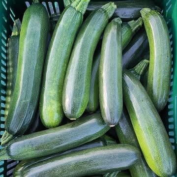 Vandaag is er eindelijk nog eens ietwat deftige regen gevallen. Ongeveer tien liter. Niet genoeg om het diepere bodemvocht aan te vullen, maar hier kunnen we weer even mee verder.

Morgen de eerste courgette in de boerderijwinkel. Een teken dat de zomer in aantocht is. De komkommers komen weldra, de eerste prei begint te dikken en de pompoenen staan mooi boven met ondertussen al twee blaadjes.

Een tiental dagen geleden zijn er zo'n 3000 pompoenzaden de grond in gegaan. Die hebben behalve een paar druppels geen regen gehad, maar met de juiste zaaitechniek is het opnieuw gelukt om de pompoenen gekiemd te krijgen. Daar wordt een boer content van!

Openingsuren boerderijwinkel:
Woensdagnamiddag: 14u – 18u
Zaterdagvoormiddag: 9u – 12u30

Inrit via de toegangsweg naast het bord van ‘Het Polderveld’ in de Westkapellestraat (huisnummer 418). Uitrit via de velden.