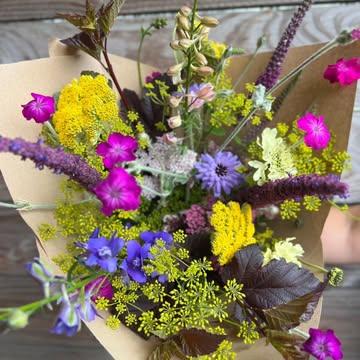 Onze biologische bloemen groeien in een weelderig bloemenveld. Het is hier een feestje voor bijen en insecten!

Wil je jouw huis opfleuren met een kleurrijk veldboeket? Of zoek je een mooi en duurzaam cadeau?

In onze boerderijwinkel staan deze week weer verse veldboeketten klaar. We zijn vandaag open van 14u tot 18u. Wil je liever een boeket op bestelling? Dat kan natuurlijk ook!

Openingsuren boerderijwinkel:
Woensdagnamiddag: 14u – 18u
Zaterdagvoormiddag: 9u – 12u30
Inrit via de toegangsweg naast het bord van ‘Het Polderveld’ in de Westkapellestraat (huisnummer 418). Uitrit via de velden.