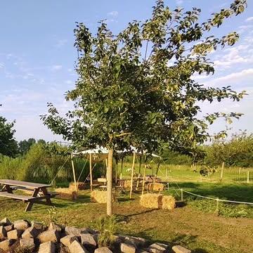 We zijn klaar om jullie morgen te ontvangen in onze zomerbar!

Zondag opendeurdag van 10u tot 18u.
Rondleidingen om 11u, 14u en 16u.

Kom proeven van ons vers gedraaide ijs, lekker gebak en verfrissende drankjes met fruit van onze bioboerderij.

Iedereen welkom om onze boerderij te komen ontdekken!