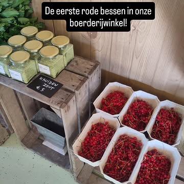 We vullen het aanbod van onze boerderijwinkel verder aan. Nu liggen er de eerste rode bessen, maar ook prachtige boontjes, venkel en bloemkool.

En heb je ons kruidenzout al geproefd?

Vandaag is de boerderijwinkel en zomerbar nog open tot 18u. Zondag van 11u tot 18u.