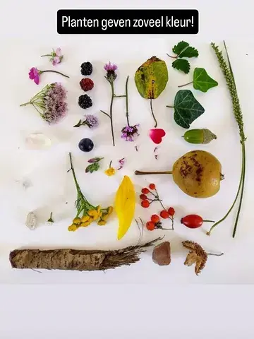 Inkt maken uit lokale wilde planten op onze bioboerderij.
Voor wie graag creatief aan de slag gaat met planten.
@draadvanariane leert ons de kneepjes van het vak!
Vrijdag 17/7 om 13u30
Wie nog graag meedoet, moet snel zijn.
Stuur een mailtje naar inschrijving@polderveld.be.