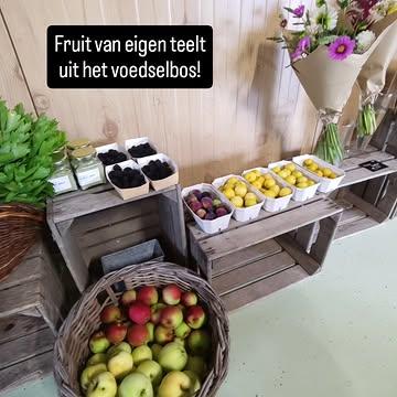 De eerste zomerappeltjes uit ons voedselbos liggen nu in de boerderijwinkel. Geen grote hoeveelheden, dus wees er snel bij als je ze wil proeven!

Wil je nog meer proeven uit het voedselbos? Deze week hebben we drie nieuwe soorten ijs gemaakt: druif, rode bes en braam. Welke smaak is jouw favoriet?

De zomerbar en boerderijwinkel is vandaag open van 9u tot 18u.

De eerste zomerappeltjes uit ons voedselbos liggen nu in de boerderijwinkel. Geen grote hoeveelheden, dus wees er snel bij als je ze wil proeven!

Wil je nog meer proeven uit het voedselbos? Deze week hebben we drie nieuwe soorten ijs gemaakt: druif, rode bes en braam. Welke smaak is jouw favoriet?

De zomerbar en boerderijwinkel is vandaag open van 9u tot 18u.