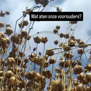 @defoodarcheoloog komt vanavond met een bevlogen verhaal over wat onze voorouders vroeger aten. 
Wat kunnen we daaruit leren om duurzamer en creatiever in de keuken aan de slag te gaan?
Iedereen welkom vanavond om 20u op onze bioboerderij.

#myknokkeheist