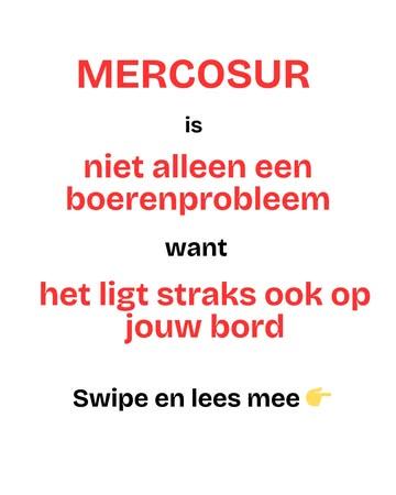 Wij zetten een boom op over het omstreden MERCOSUR-akkoord. Niet alleen voor de boeren maar voor iedereen 🌱! 

Bedankt om te lezen, 
en te delen 🙏🏽,
Team GRONDIG 

#NoMERCOSUR #supportlocal #duurzamelandbouw @ikkenmijnboer