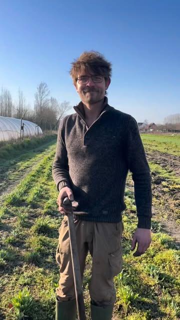Het is een prachtige ochtend om de schorseneren te oogsten! Kent er iemand nog andere dialectwoorden voor ☀️?

Smakelijk dan hè 🤭! 

Een warme dankjewel aan onze dierenarts Norma en haar man Hubert voor de gezellige koffietjes met geweldige landbouwverhalen en kennis van weleer ❤️. 

👋🏽 Team Grondig 

#duurzamelandbouw #supportlocal #korteketen