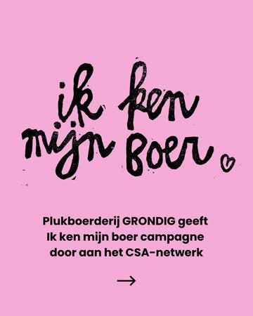 Het team van vrijwilligers achter de Campagne Ik ken mijn Boer heeft beslist om haar geliefde campagne door te geven aan het CSA-netwerk. Daarmee is de volgende stap in het verder verspreiden van onze boodschap “Ik ken mijn Boer” gezet. 

Al 30 CSA-boerderijen sprongen mee op de kar 💪🏽! 

#duurzamelandbouw #korteketen #communitysupport #happyfarmer