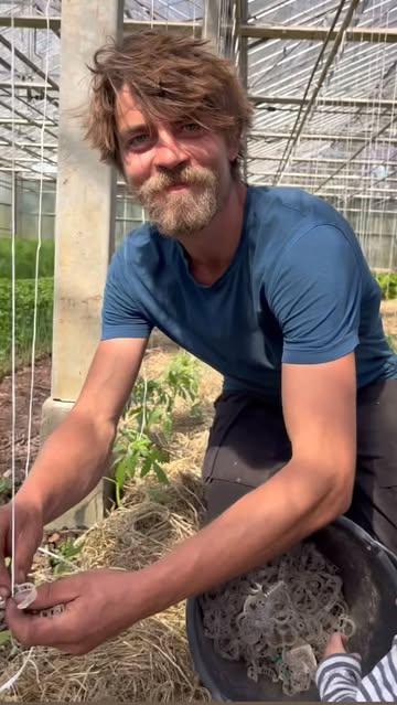 De eerste tomaten- en komkommerplanten zitten in de grond 🌱! Boer Basil neemt jullie mee in de afgelopen twee dagen op de boerderij 👌🏽. 

#duurzamelandbouw #korteketen #dowhatyoulove #happyfarmer