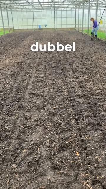 Boer Benny neemt jullie mee naar een kleine drie maanden bij de tuinbonen in de serre. Ondertussen oogstten we er veldsla, radijzen en kervel en later natuurlijk de tuinbonen zelf nog 🙌🏽! 

#duurzamelandbouw #supportlocal #dowhatyoulove #happyfarmer @rosannee.f 🥰