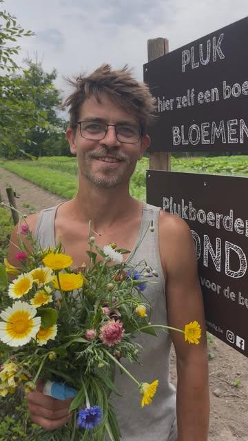 NIEUW - OP HET EINDE VAN DE KRUISDREEF in Heusden:

Kom zelf een boeket plukken en maak jezelf of iemand anders gelukkig! 
IEDEREEN is welkom 🥳 je hoeft geen abonnement te hebben. 

Lees eerst de instructies en veel pluk plezier! 
🌻 Team GRONDIG 🌻

#supportlocal #korteketen #happyfarmer #duurzamelandbouw